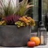Wetterfeste Herbstdeko für die Terrasse mit großem Pflanzkübel, Kürbissen und Laterne.
