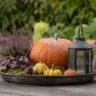 Herbstdeko für den Gartentisch mit Kürbis, Heide, Laterne und Naturmaterialien auf einem Holztablett.