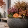 Herbstdeko für Pflanzkübel mit Heide, Ziergras, Kürbissen und Herbstlaub vor einem Hauseingang.