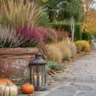 Herbstdeko für Gartenwege mit Pflanzkübel, Laterne und Kürbissen an einem geschwungenen Gartenweg im Herbst.
