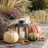 Herbstdeko für den Terrassenrand mit Kürbissen, Laterne und Gräsern auf einer gemütlichen Terrasse.