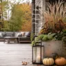 Herbstdeko für große Terrassen mit Pflanzkübel, Laterne und Kürbissen auf moderner Holzterrasse im Herbst.