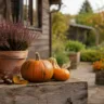 Herbstdeko im Schrebergarten mit Kürbissen, Heide und Laterne vor einer Gartenlaube.