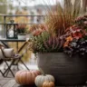 Moderne Herbstdeko für den Balkon mit Pflanzkübel, Gräsern, Kürbissen und gemütlicher Sitzgruppe