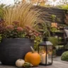 Moderne Herbstdeko für einen kleinen Garten mit Pflanzkübel, Kürbissen und Laterne auf der Terrasse.