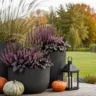 Moderne Herbstdeko für den großen Garten mit Pflanzkübeln, Ziergräsern, Kürbissen und Laterne auf der Terrasse.