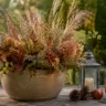 Herbstdeko ohne Kürbis für den Garten mit Gräsern, Zweigen, Laterne und natürlichen Herbstfarben.
