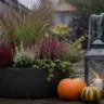 Wetterfeste Herbstdeko für den Balkon mit Heide, Kürbissen und Laterne bei herbstlichem Regen.