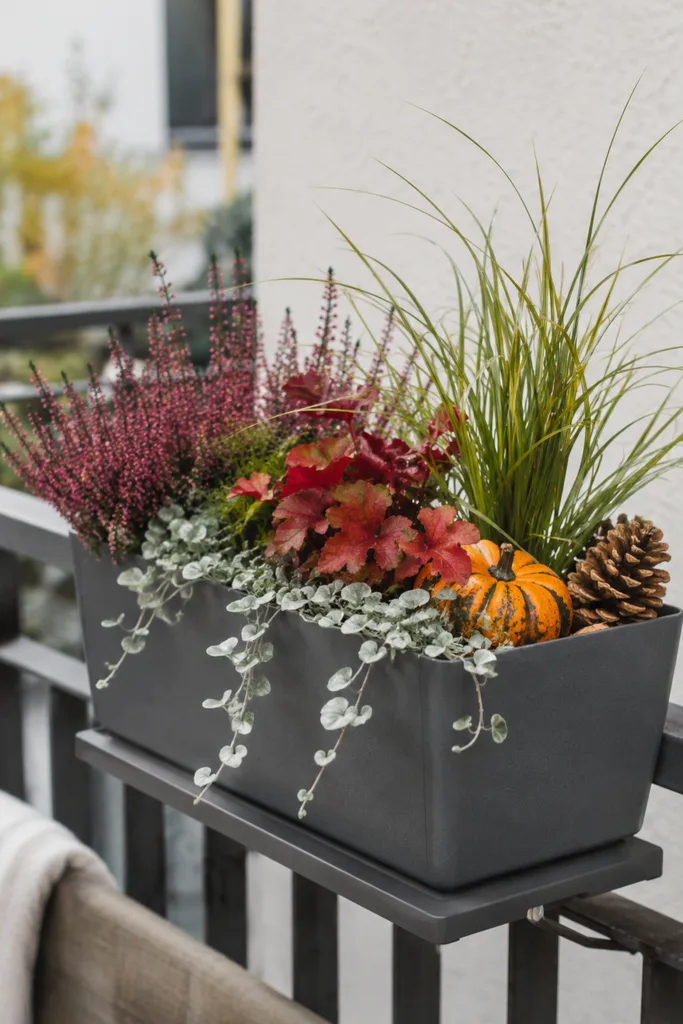 Moderne Herbstdeko für den Blumenkasten mit Gräsern, Heide, Kürbis und windfester Bepflanzung.
