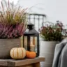 Einfache Herbstdeko für den Balkon mit Heide, Ziergras, Laterne und kleinen Kürbissen.
