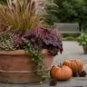 Pflegeleichte Herbstdeko für den Garten mit Pflanzkübel, Ziergräsern, Heide und Kürbissen auf der Terrasse.