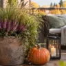 Pflegeleichte Herbstdeko für den Balkon mit Heide, Ziergras, Kürbis und Laterne als einfache Idee.