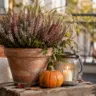 Günstige Herbstdeko für den Balkon mit Heide, Kürbis und Laterne als einfache herbstliche Idee.