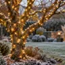 Kahler Gartenbaum mit warmweißen Lichterketten an Stamm und Ästen in einem leicht verschneiten Garten.