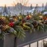 Weihnachtlich dekorierter Blumenkasten am Balkongeländer mit Tannenzweigen, roten Beeren, Zapfen und Lichterkette.