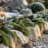 Natursteinreihe mit Tannengirlande und Zapfen zwischen Kies und frostigen Pflanzen im winterlichen Steingarten.