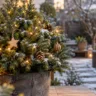 Kleiner Tannenbaum im Pflanzkübel mit warmweißen Lichterketten und Holzschmuck in einem verschneiten Garten.